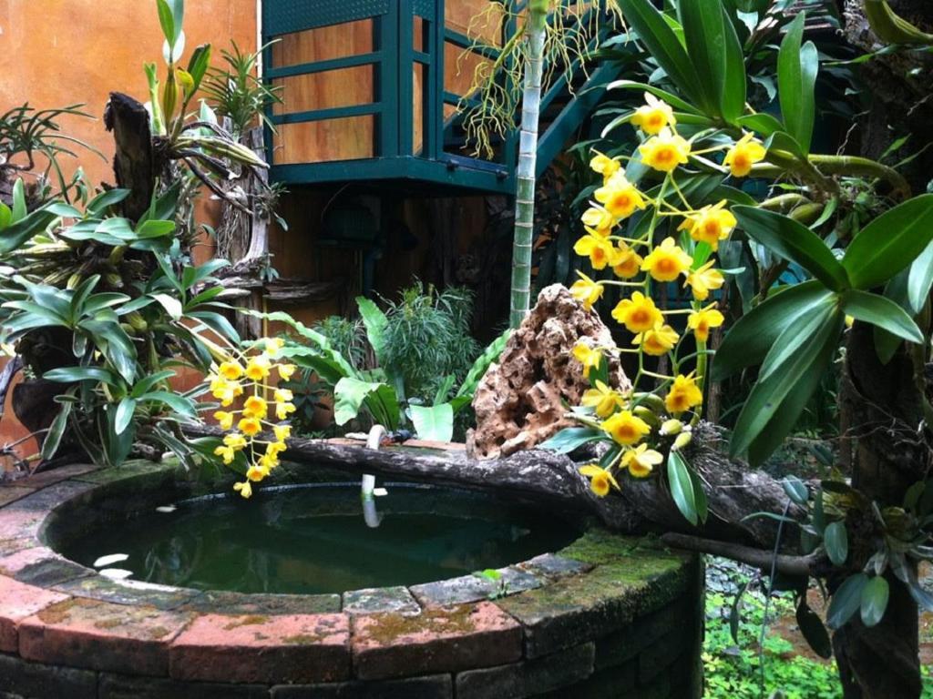 Sabaidee Chiangmai Chiang Mai